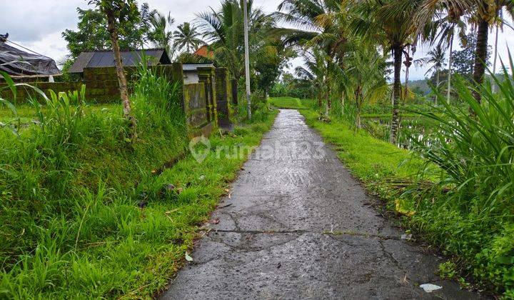 Di Jual Tanah Suasana Pedesaan Sejuk Dan Asri 2