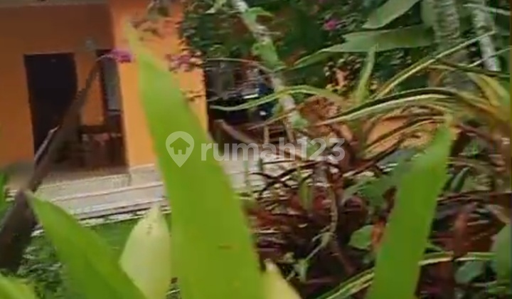 Di Jual Tanah Bonus Bangunan Lodtunduh Ubud 2