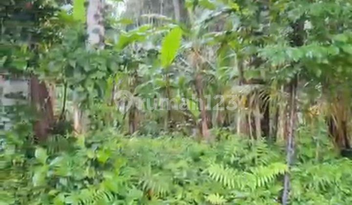 Di Jual Tanah Murah Sukawati