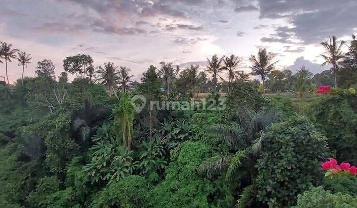 Di Jual Restoran Hitung Harga Tanahnya Saja 2