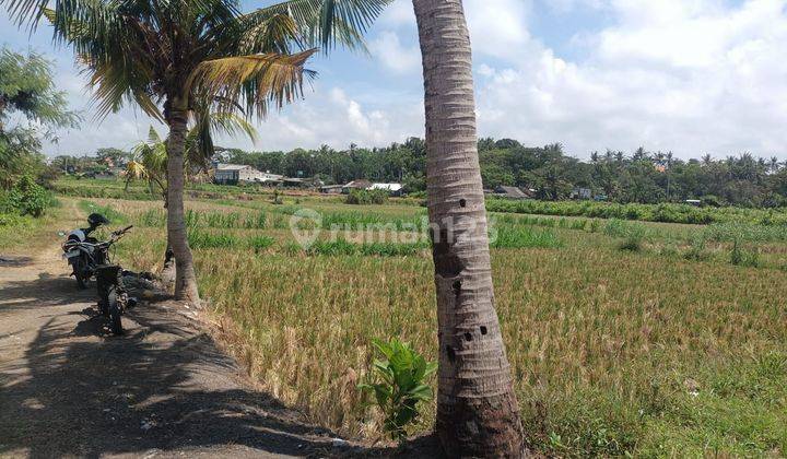 Land lodtudnuh ubud Los Sungai And jungle 2