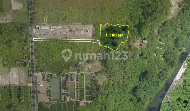 Di Jual Tanah View Sawah Dan Jungle Tegenungan Di Jual Tanah View Sawah Dan Jungle Tegenungan