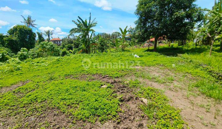 Tanah Kemenuh Ubud 1