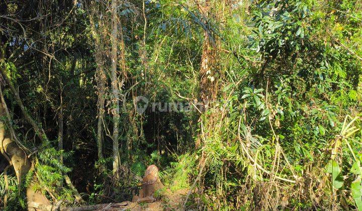 Cheap land in Pejeng Los River and Jungle 2