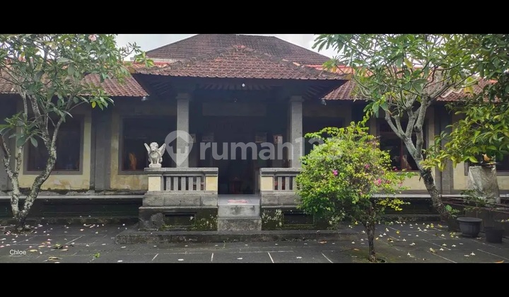 Di Jual Galery Mas Ubud Pinggir Jalan Aspal Di Jual Galery Mas Ubud Pinggir Jalan Aspal