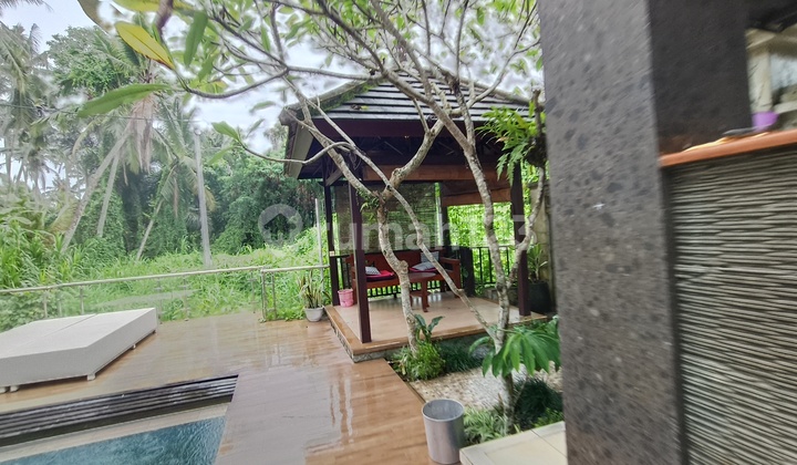 Villa For Sale in Tebongkang Ubud 2