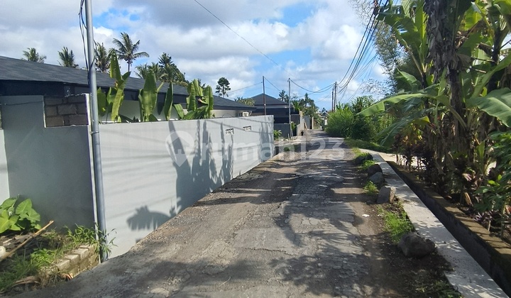 Di Jual Tanah Tirtatawar Petulu Ubud Di Jual Tanah Tirtatawar Petulu Ubud