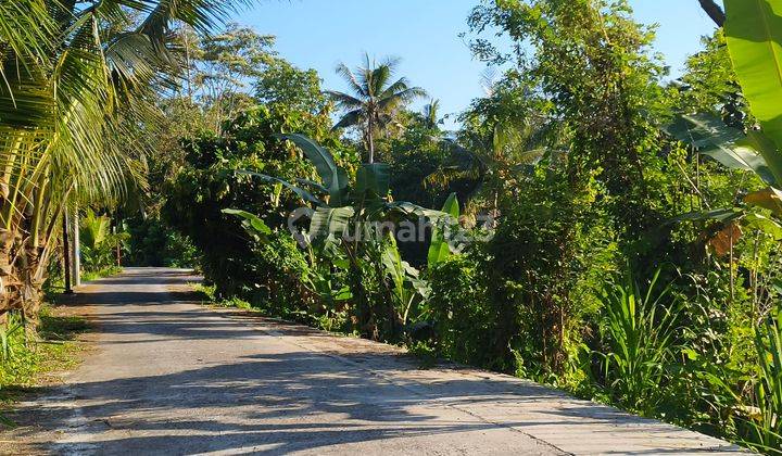 Tanah Murah View Lembah Dan Jungle 2