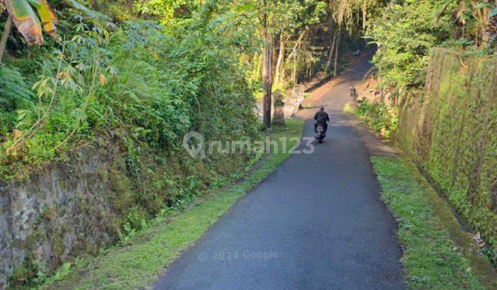 Tanah murah cocok Villa dekat Ubud Dan pejeng 2