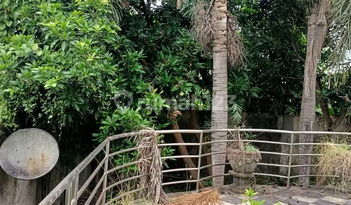 Bonus Land with Abandoned Villa Building Near Ubud