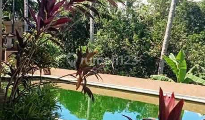 Murah Villa Ketewel View Jungle Dan Sunrice
