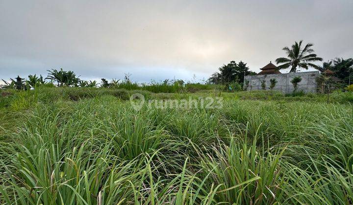 Cheap premium land on the edge of asphalt road and valley view 2