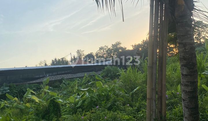 For Sale Tegalalang View Land Jungle And River Plot