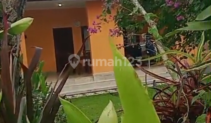 Di Jual Tanah Bonus Bangunan Lodtunduh Ubud 1