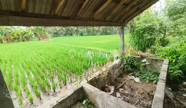 Di Jual Tanah Kemenuh View Sawah Dan Sunset di Kemenuh 1