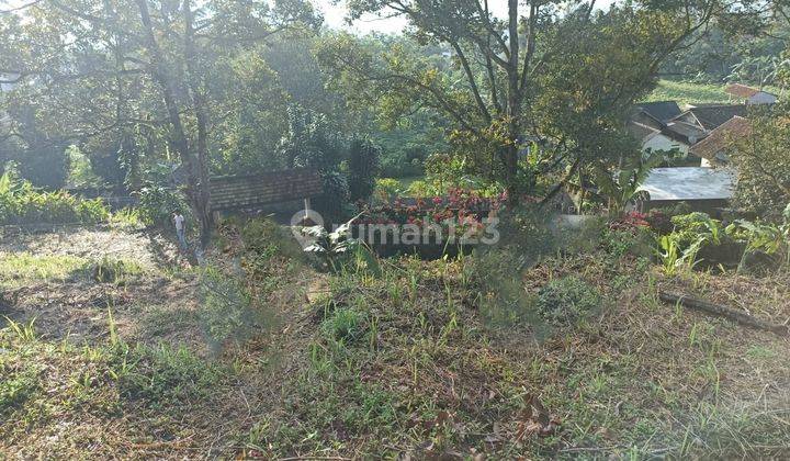 Tanah di Lokasi Strategis di Caringin Bogor 3