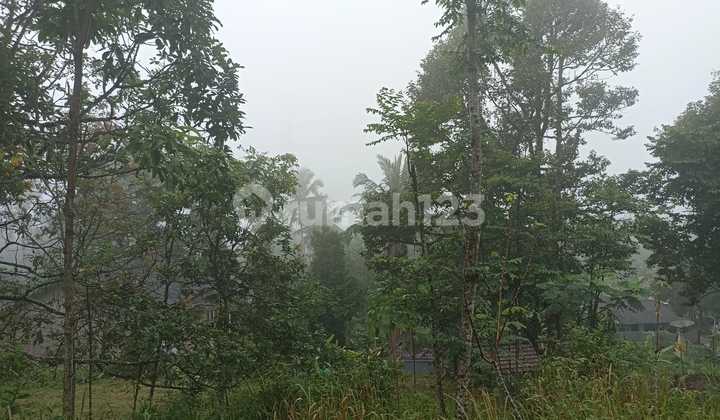 Tanah di Lokasi Strategis di Caringin Bogor 6