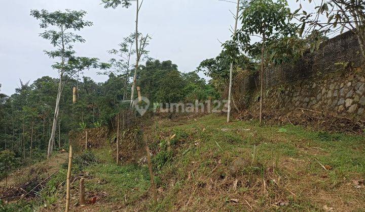 Tanah di Lokasi Strategis di Caringin Bogor 8