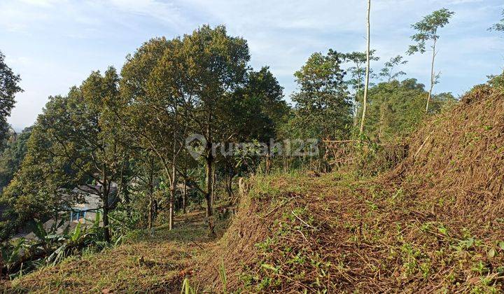 Tanah di Lokasi Strategis di Caringin Bogor 10