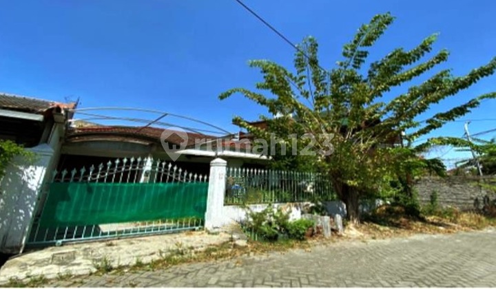 Rumah Dengan Lingkungan Naman Dan Sejuk di Klampis Sukolilo. Surabaya. Jawa Timur 1