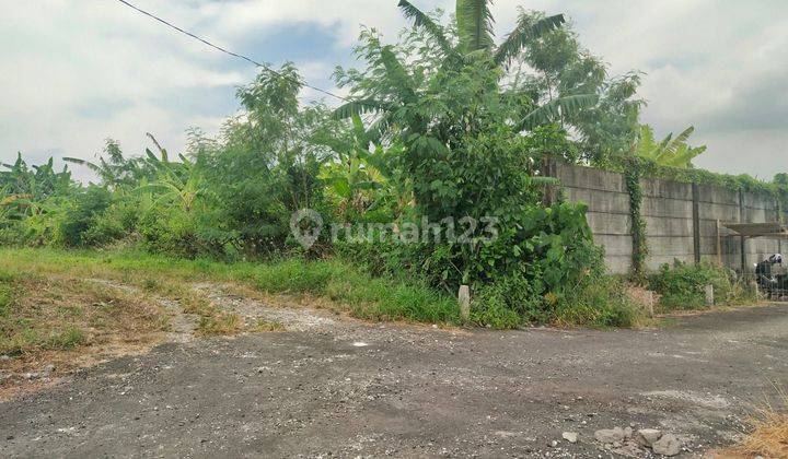 Cheap Land In Premium Location, Petitenget Bali Tourism 1