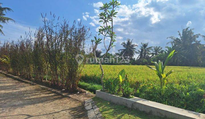 Villa Murah Nan Baru Daerah Ubud Disewakan Per Taun 2