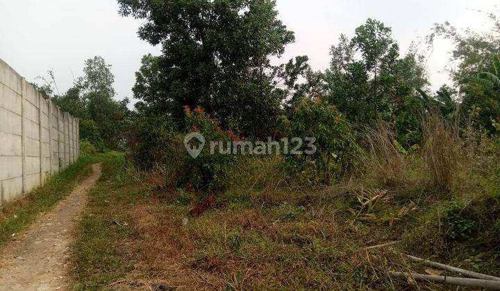 Tanah Luas di Parung Panjang Dekat Perumahan Citaville 2