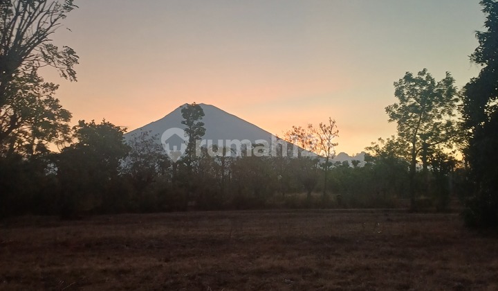 Eastern Amed Bali Location