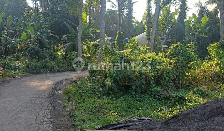 37 Are Leasehold at Green School