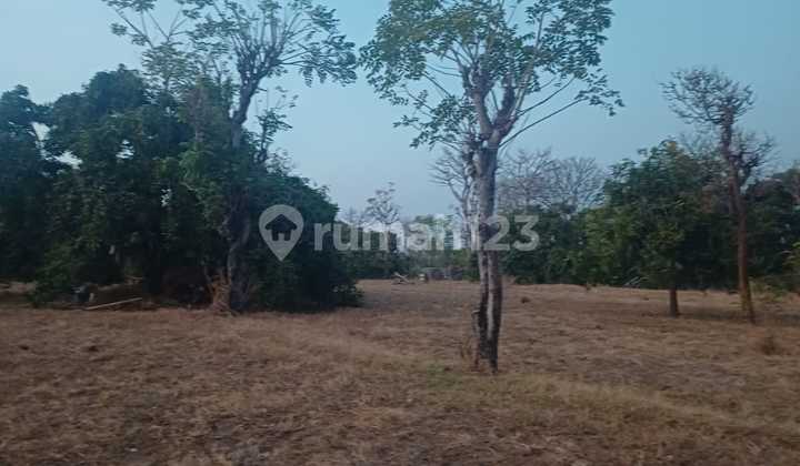 Di Jual Tanah Lokasi Jalan Raya Amed Karang Asem Dengan View Gunung Agung Bali