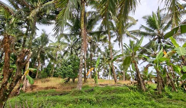 For Sale Garden Land Suitable for Retirement Living Located in Selemadeg Village, Tabanan