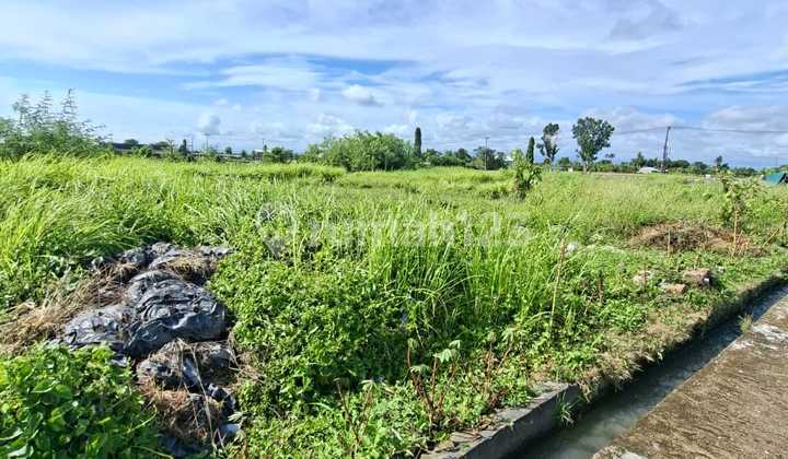 On Land Contract of 97 Ares Beside Main Road. Location in Buduk Village, Banjar Pasekat. On Land Contract of 97 Ares Beside Main Road. Location in Buduk Village, Banjar Pasekat.