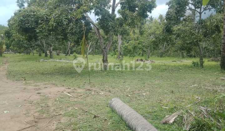 BUTUH CASH CEPAT!  Dijual tanah tegalan berlokasi di Desa Bengkala kubu tambahan Singaraja.