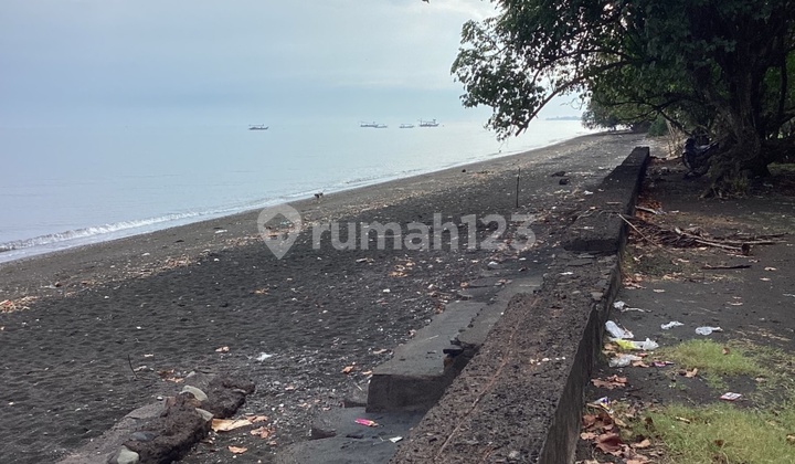 For sale: land in northern Bali. Large plot suitable for industrial use.