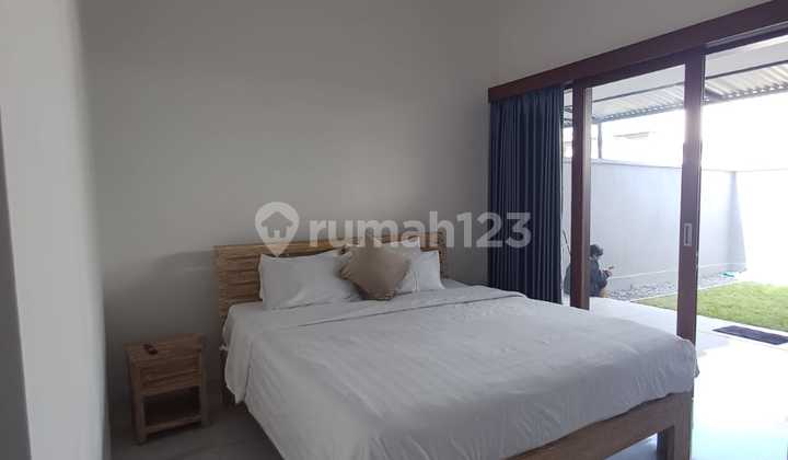 House for rent in the Seminyak area