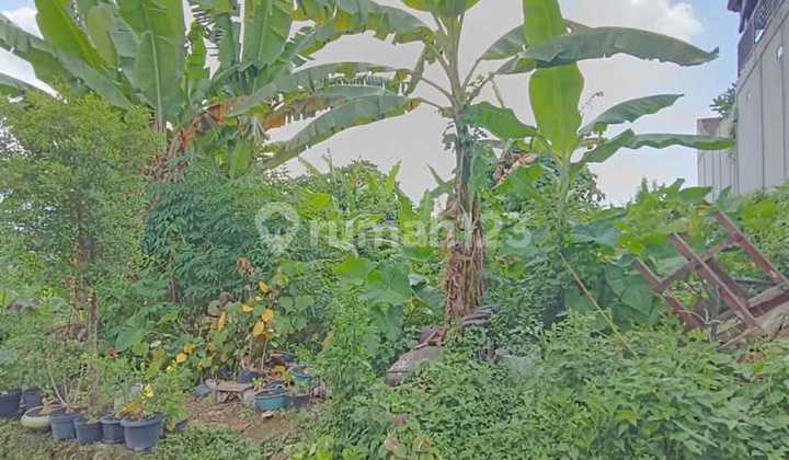 Dijual Tanah Lokasi Di Perumahan Permata Hijau Denbantas, Tabanan Dijual Tanah Lokasi Di Perumahan Permata Hijau Denbantas, Tabanan