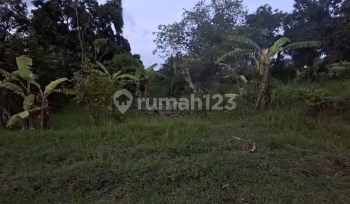 Di Jual Tanah Di Pedesaan Luasan Di Shm 20019m2atau 2 Hektar 19 Are 