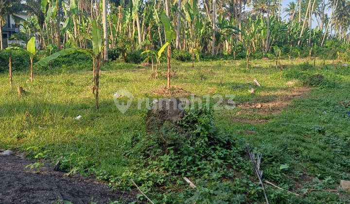 37 Are Leasehold at Green School