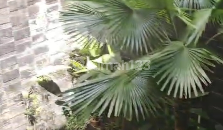 Rumah Semi Furnish Siap Pakai Bagus Terawat Mainroad Bisa Utk Usaha 2