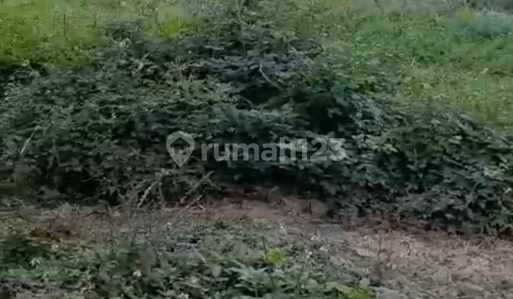 Dibawah Njop Tanah Strategis Ramai.mainroad.dekat Griya Ujung.berung.cocok.utk Segl.usaha