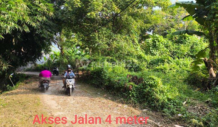 LARGE LAND IN JL. KETEWEL GIANYAR IS STILL BEAUTIFUL NEAR THE BEACH & ZOO 2