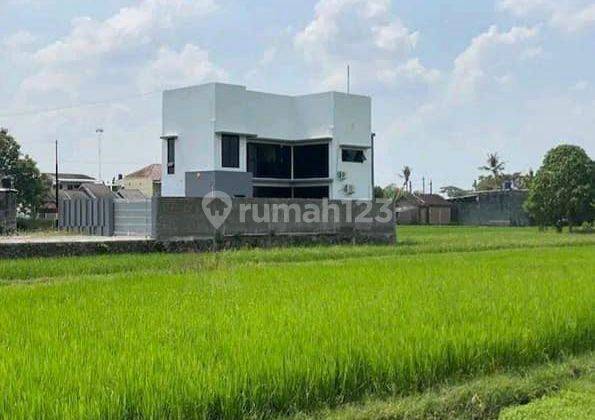 Rumah 2 Lantai Semi Villa Di Parangtritis Yogyakarta 2