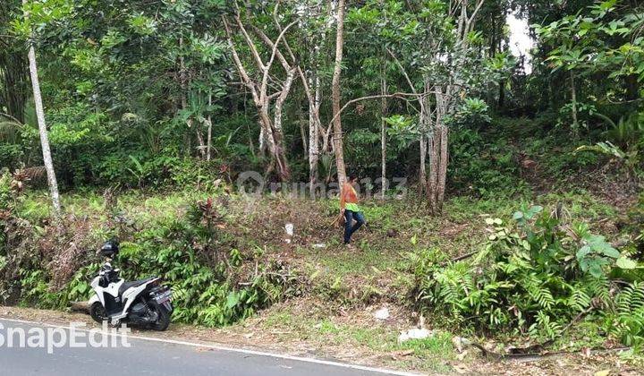 COMMERCIAL LAND MAIN ROAD PENEBEL TABANAN 2