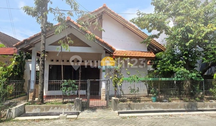 Jual Pleburan Raya Undip Bawah Singosari Simpang Lima 1