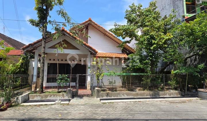 Jual Pleburan Raya Undip Bawah Singosari Simpang Lima 2