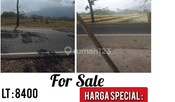 KAVLING MAINROAD SANGAT COCOK UTK POM BENSIN/APARTEMENT/CLUSTER PERUMAHAN TASIKMALAYA 1