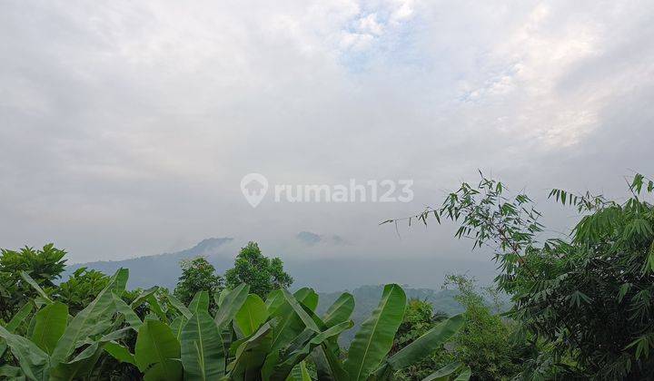 Tanah di Parung panjang, cocok perkebunan  perumahan pabrik   2