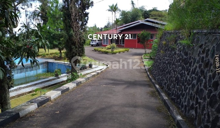 For Sale: Villa with Extensive Land, Mount Salak View in Megamendung.