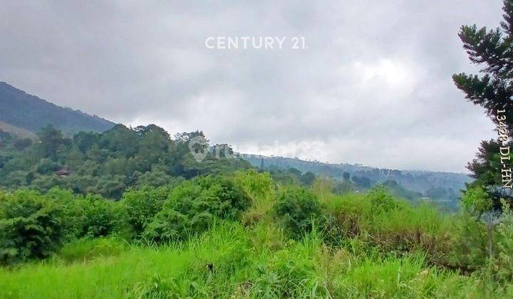 Dijual Tanah Datar Siap Bangun Dengan View Pegunungan Di Puncak 2