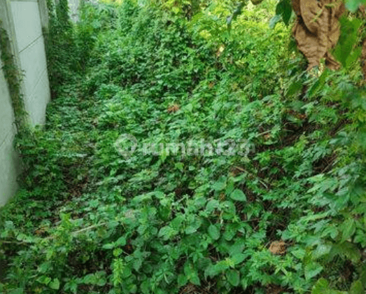 Investasi Mantap Lokasi Tidak Jauh Dengan Kahatex, Tanah di Jalan Utama Gempol Sari Raya, Cijerah Bandung Kota, Bandung SHM 2.780 m² 3